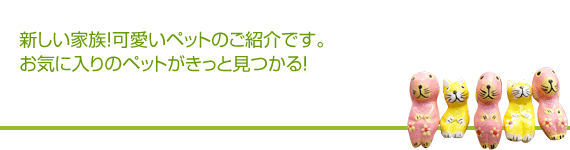 _~[eLXg