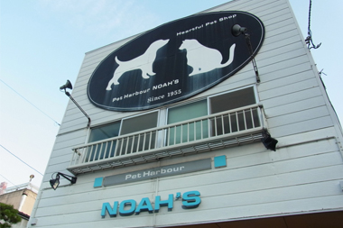 noah's店舗写真