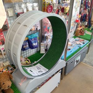 猫のクルクル